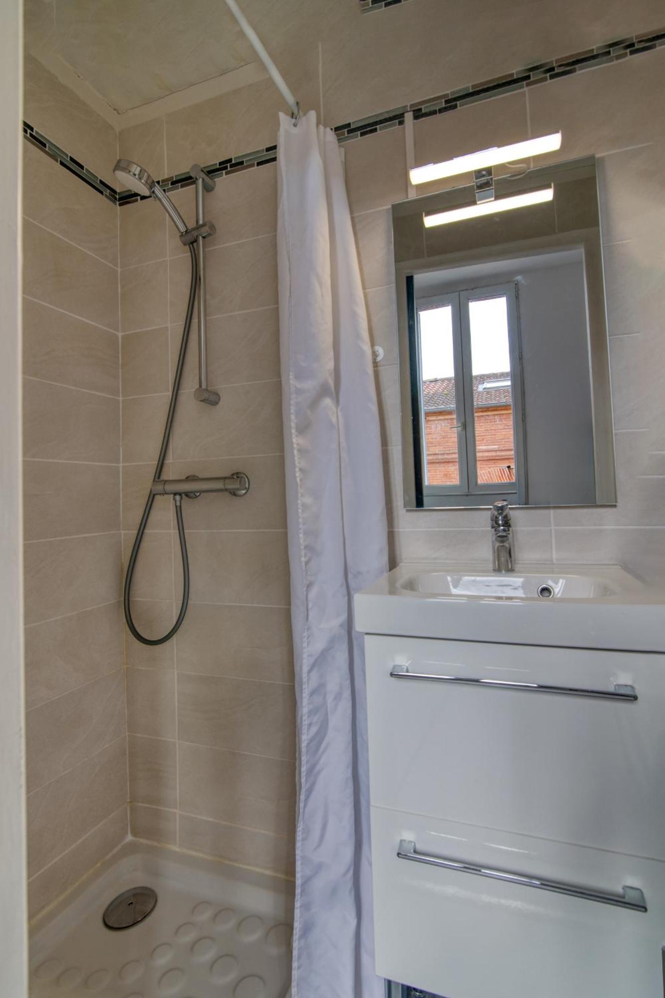La Toulouzen Hyper-centre Apartment
