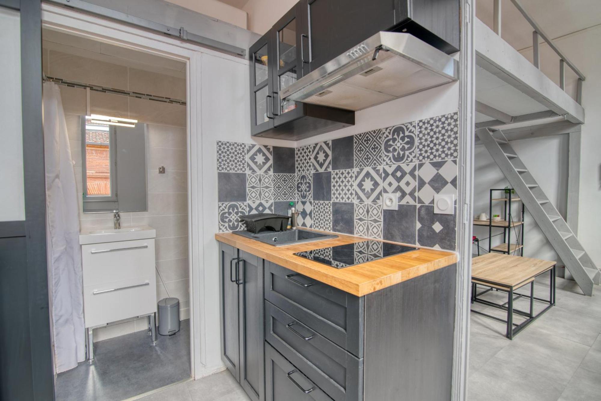 Apartment La Toulouzen Hyper-centre Toulouse